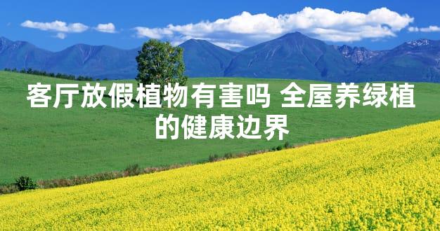 客厅放假植物有害吗 全屋养绿植的健康边界